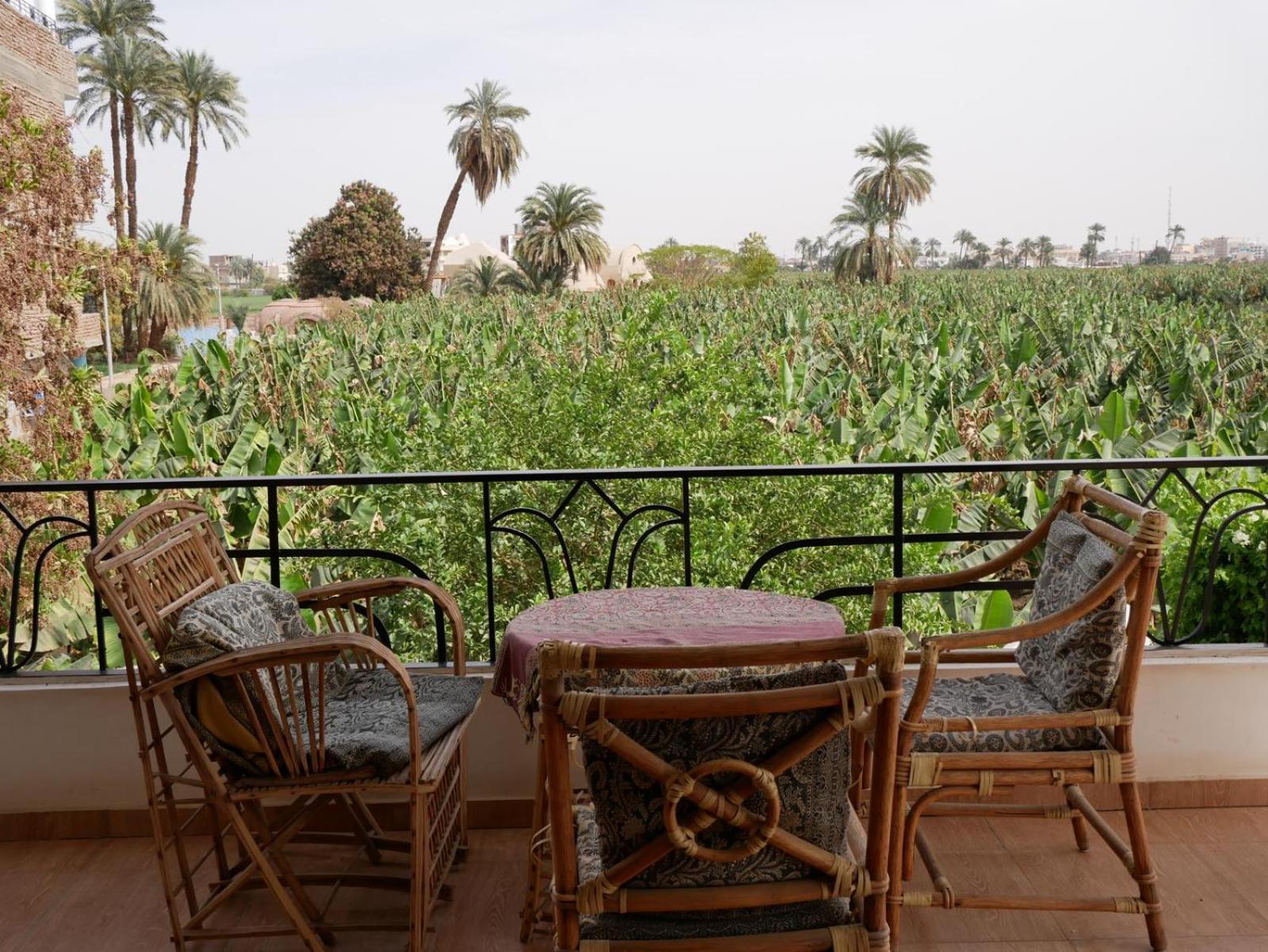 Villa Quiet Place Luxor Exterior foto